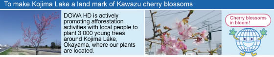 To make Kojima Lake a land mark of Kawazu cherry blossoms