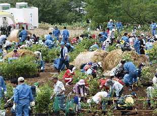 Kosaka Household Town Afforestation Planting Ceremony, Akita Prefecture