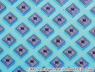 1,300nm range near-infrared LED chips