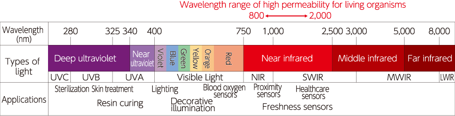 Wavelength range of high permeability for living organisms