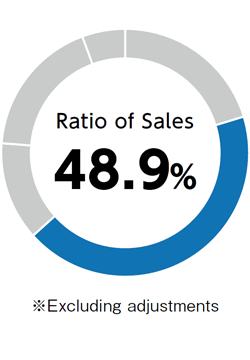 Ratio of Sales