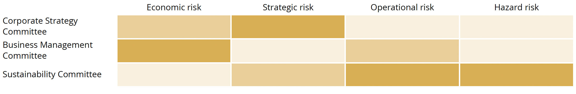 Classification of the Group’s Risks and Details of Discussions at Each Meeting