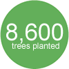 8,600 trees planted