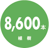 8,600本植樹