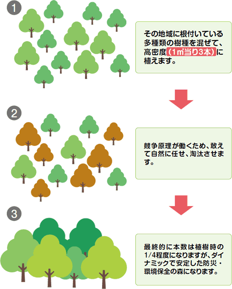 秋田県小坂町の森づくり