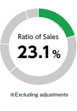 Ratio of Sales