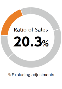 Ratio of Sales