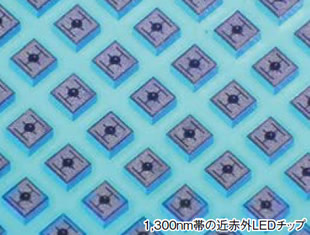 1,300nm帯の近赤外LEDチップ