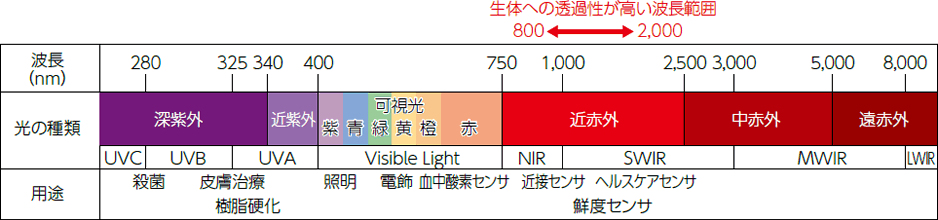 生体への透過性が高い波長範囲